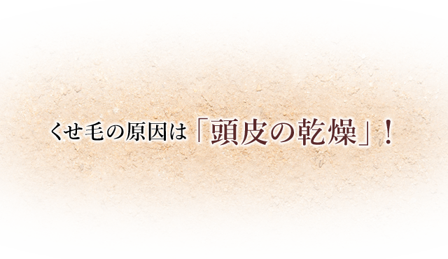 くせ毛改善対策 業界初のくせ毛を治す予防方法